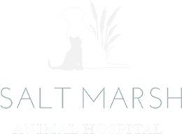 Salt Marsh Animal Hospital