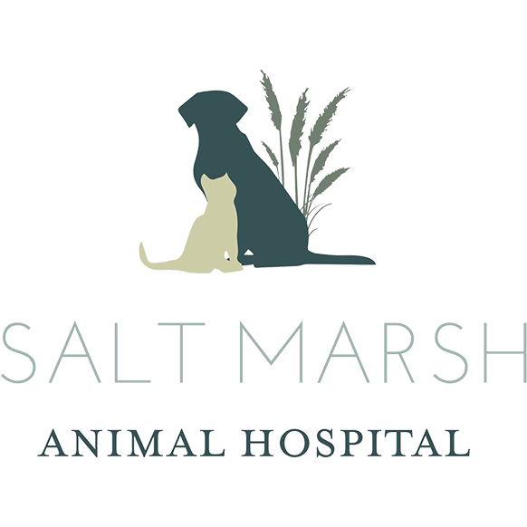 Salt Marsh Animal Hospital | Veterinarian Near Me | Local Animal Hospital  In Kiawah Island